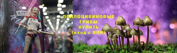 метамфетамин Аркадак
