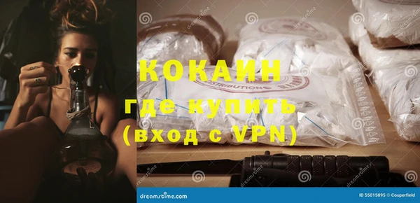 индика Нязепетровск