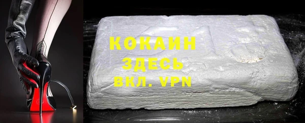 сатива Арсеньев
