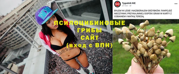 СК Армянск