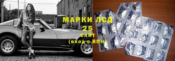 сатива Арсеньев