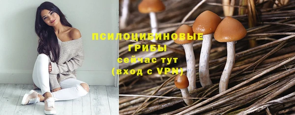 СК Армянск