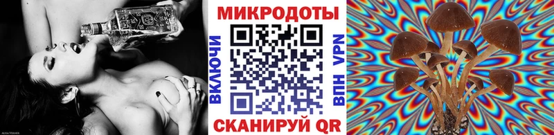 ОМГ ОМГ вход  Старый Крым  Галлюциногенные грибы прущие грибы 
